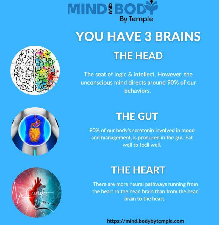 555e50ea-572b-4b17-b2e2-dd98c10488bf